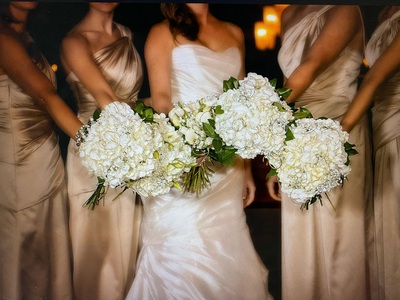 Windsor Place Wedding & Event Venue Gallery Image